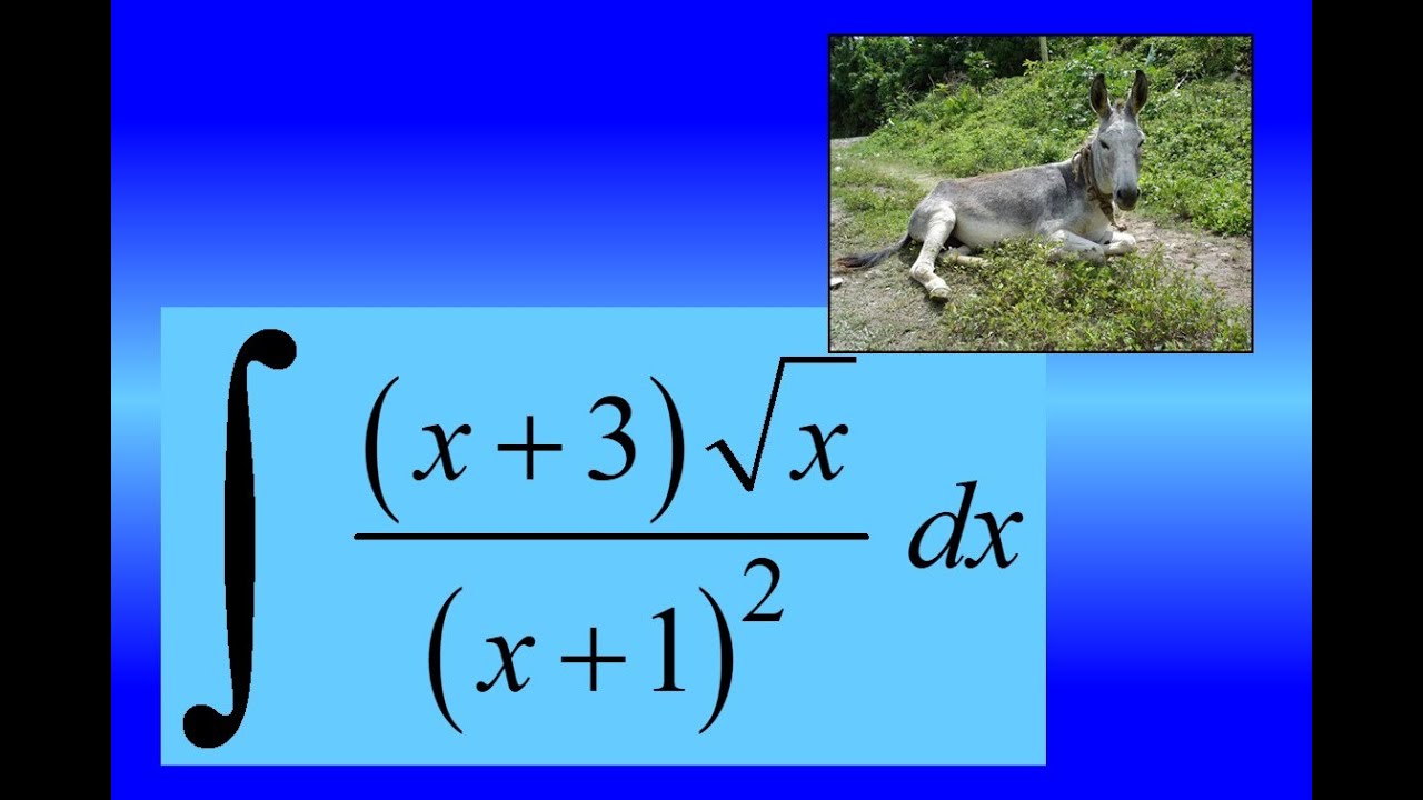 VARIOUS & ENRICHMENT - hard indefinite integral (15)