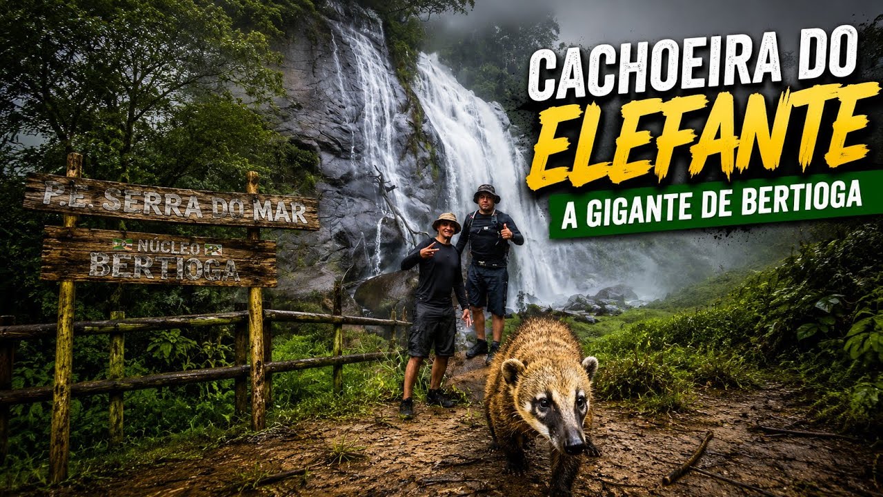 A GIGANTE DE BERTIOGA! Tudo Sobre a Cachoeira do Elefante (Legalizada!)