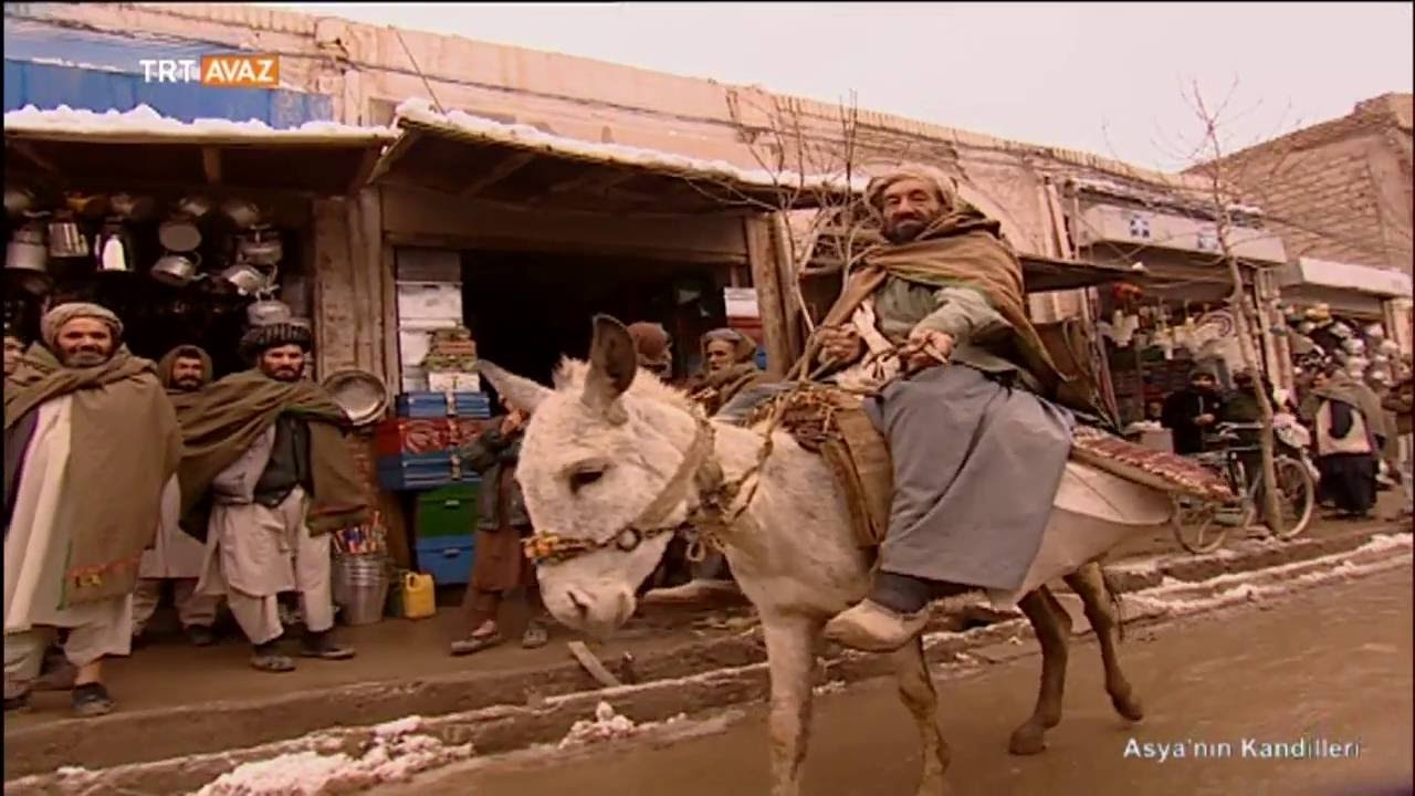Kaşgarlı Mahmud'un Kaleminden T&uuml;rk Boyları Manzaraları - TRT Avaz