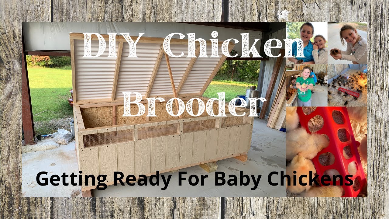 DIY Chicken Brooder