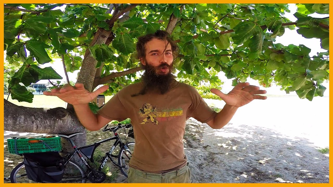 IS IT ALWAYS LIKE PARADISE IN THE TROPICS? A BALANCED PERSPECTIVE ON TROPICAL LIVING