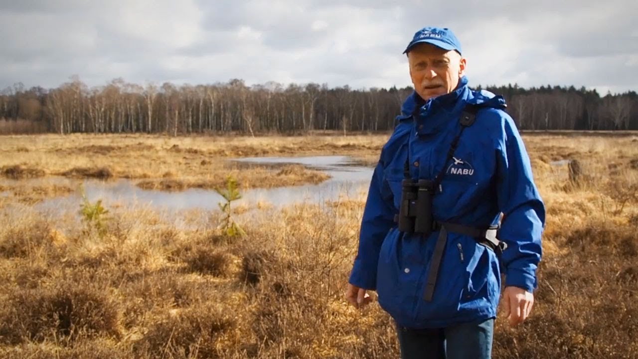 Der Brook: Geformt von Eiszeit - und Menschen