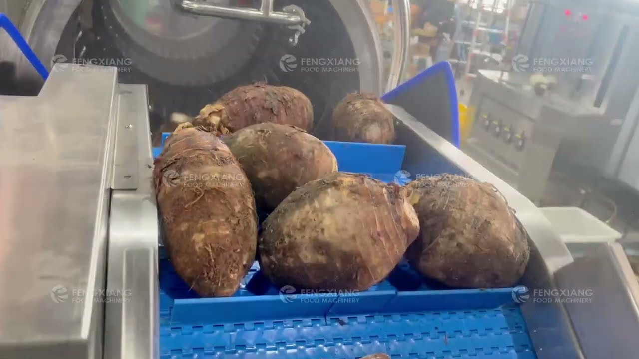 Taro Drum Washing & Root Vegetable Cleaning Line | De-Mudding, Bubble Wash & Brush Spray System