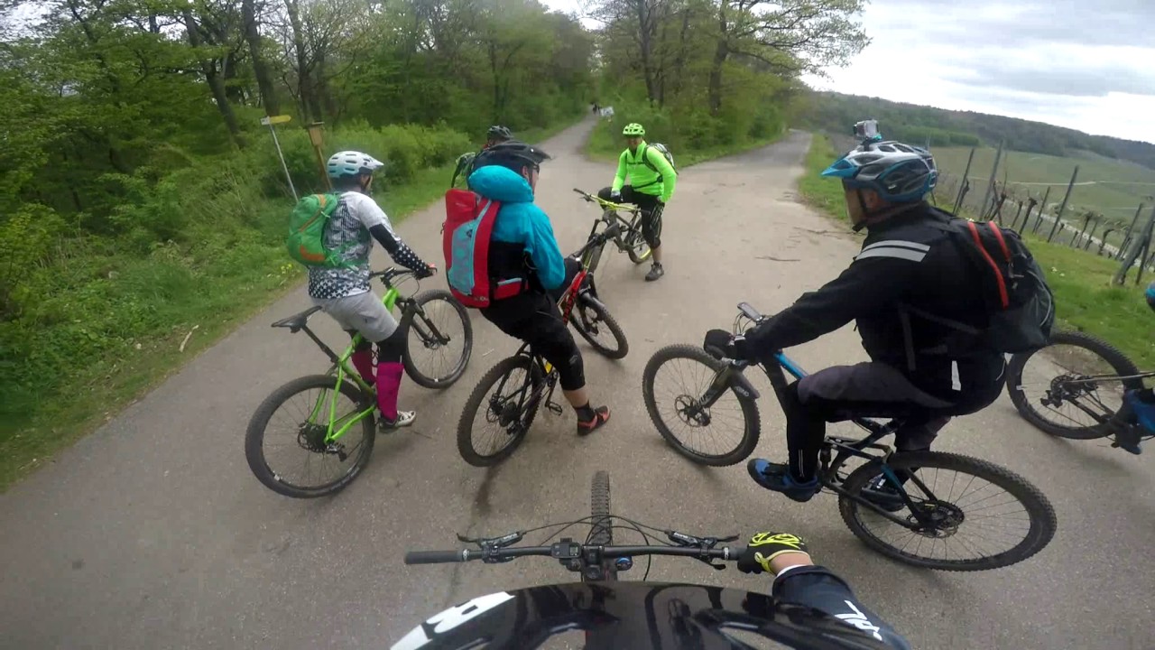 MTB Tour-Heilbronn-Stadtwald