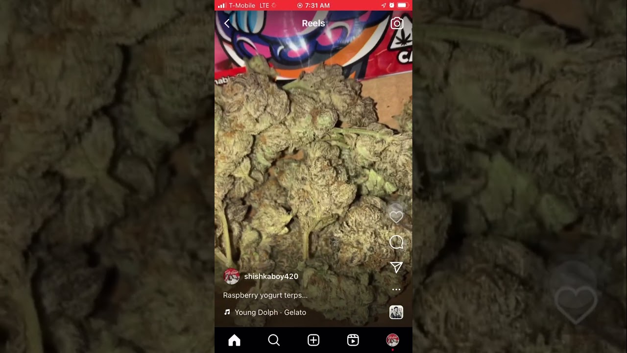 Girl Scout Cookies &ldquo;forum cut&rdquo;