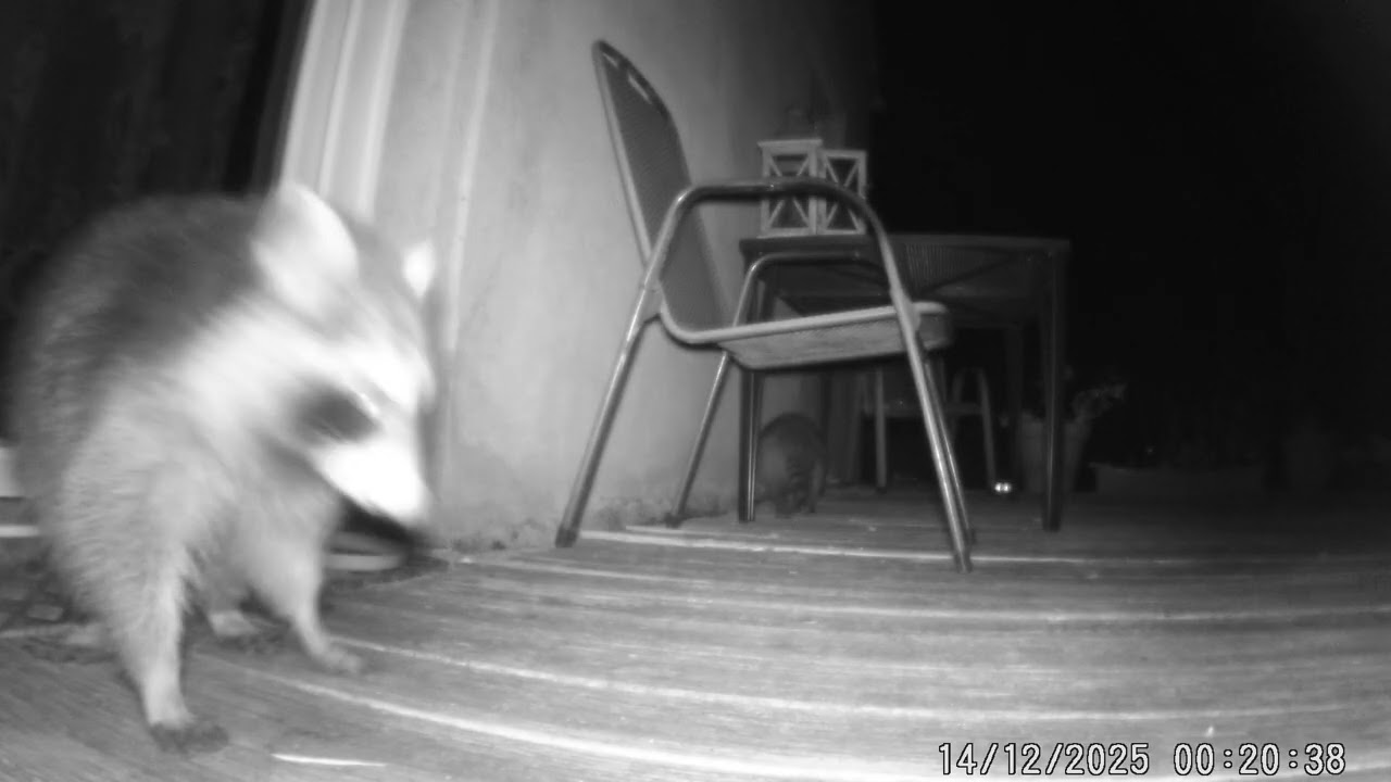 1 2 3 alle da .