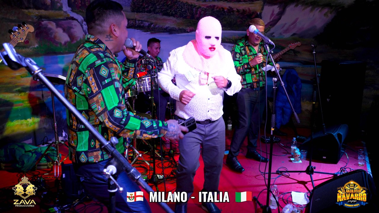 HAY CHIQUILINA MIX...EL GATO FELIX NAVARRO Y SOMBRA AZUL / TOURS EUROPA MILANO - ITALIA 2025