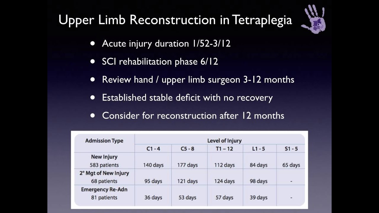 Spinal Cord Injury 3: Nerve Transfers in the Tetraplegic Upper Limb