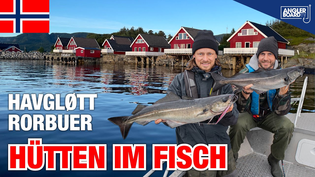 Angeln in Norwegen | Havgløtt Rorbuer: Hütten im Fisch | Köhler, Dorsch Livebisse | Norwegen Urlaub