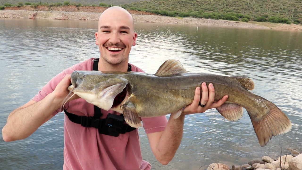 Fishing for FLATHEADS at Bartlett Lake