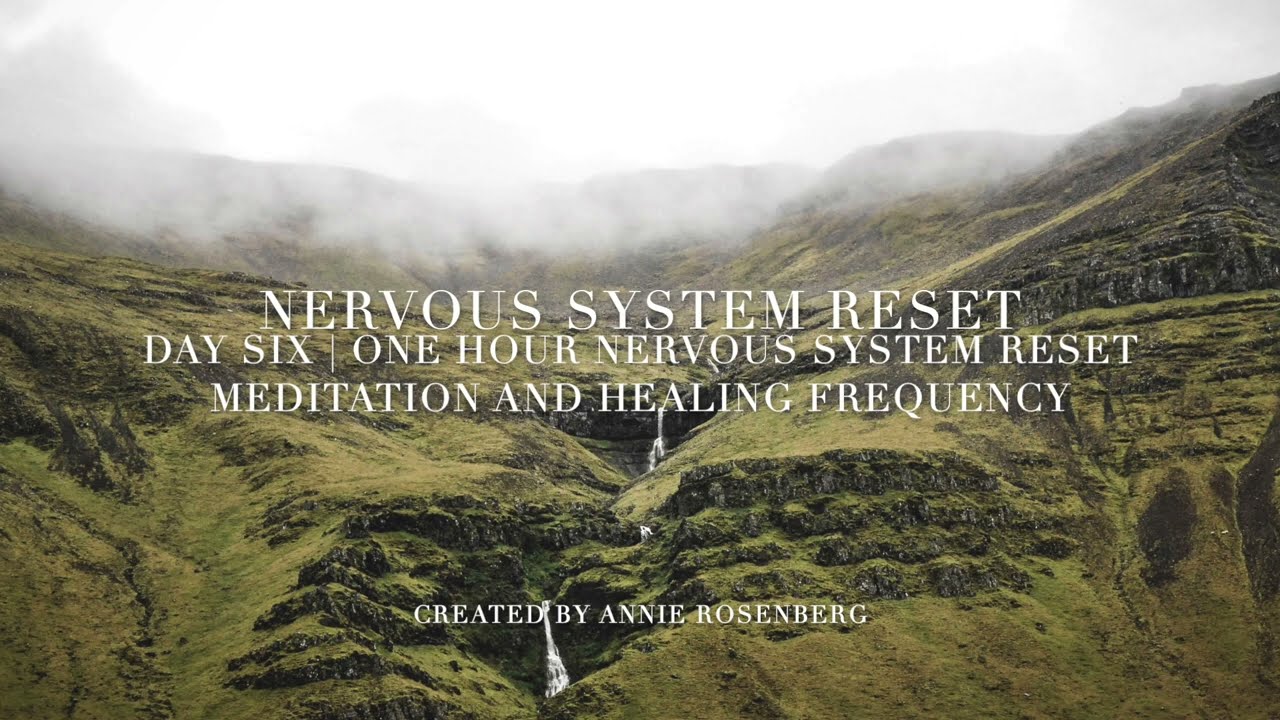 One Hour Nervous System Reset Meditation and Healing Frequency | Day Six