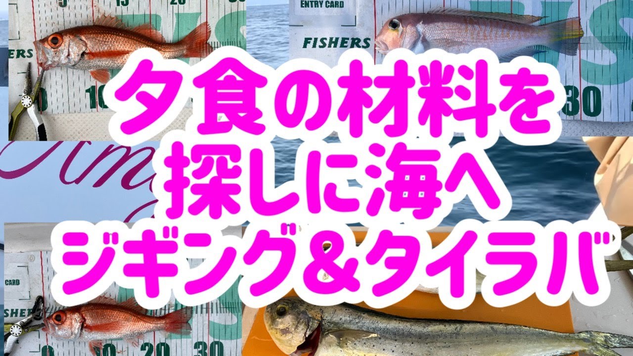 【富山湾】【10、11月】夕食の材料を探しに海へジギング＆タイラバ