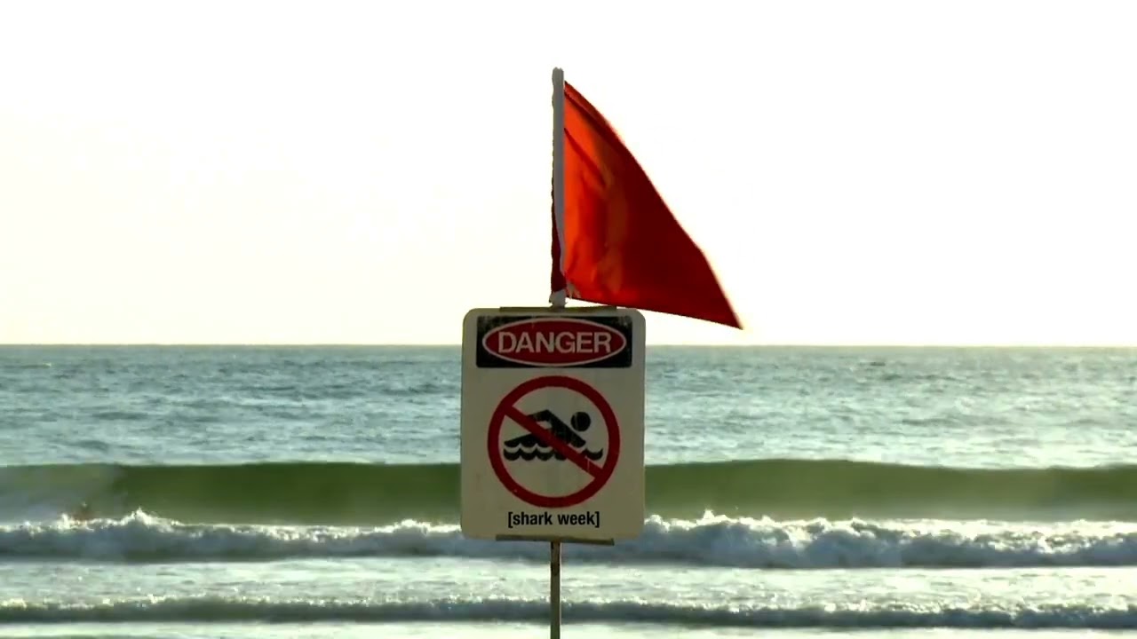 Adult Swim Bump: Shot of a No Swimming Sign near the Sea Shore at a Beach (FANMADE)