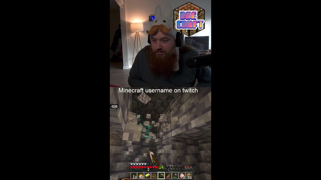 Playing with bedrock viewers