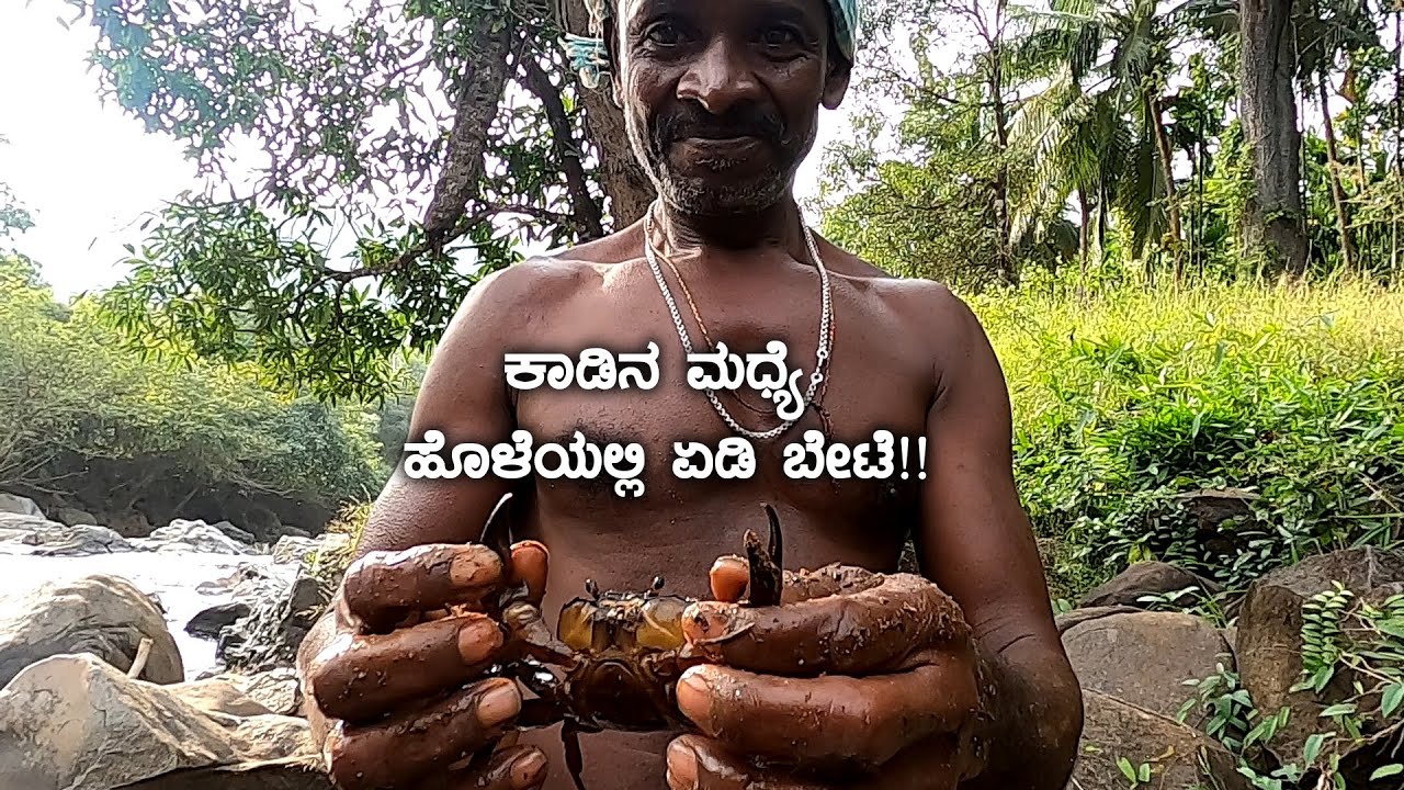 ಕಾಡಿನ ಮಧ್ಯೆ ಹೊಳೆಯಲ್ಲಿ ಏಡಿ ಬೇಟೆ!!  Catching River Crabs | Lifestyle of Siddi Tribes