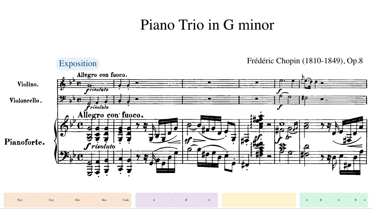 Chopin, Piano Trio in G minor, Op.8 (Beaux Arts Trio)