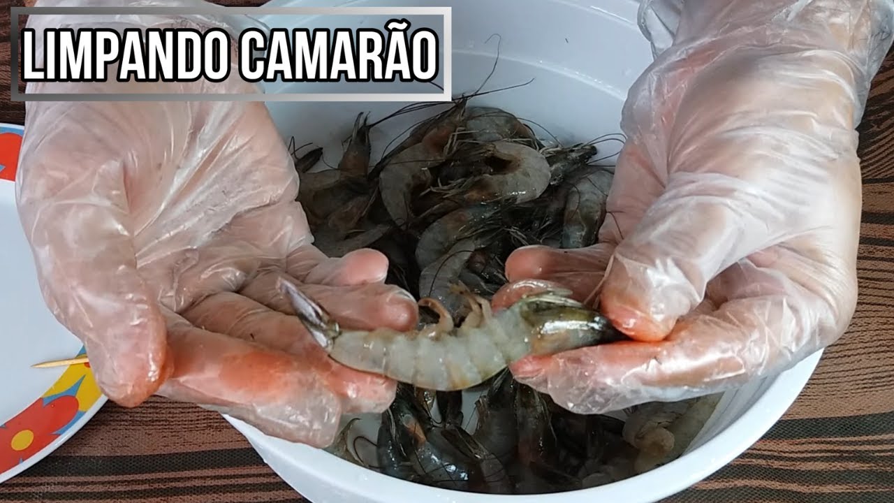 COMO LIMPAR CAMAR&Atilde;O SIMPLES E R&Aacute;PIDA | how to clean shrimp