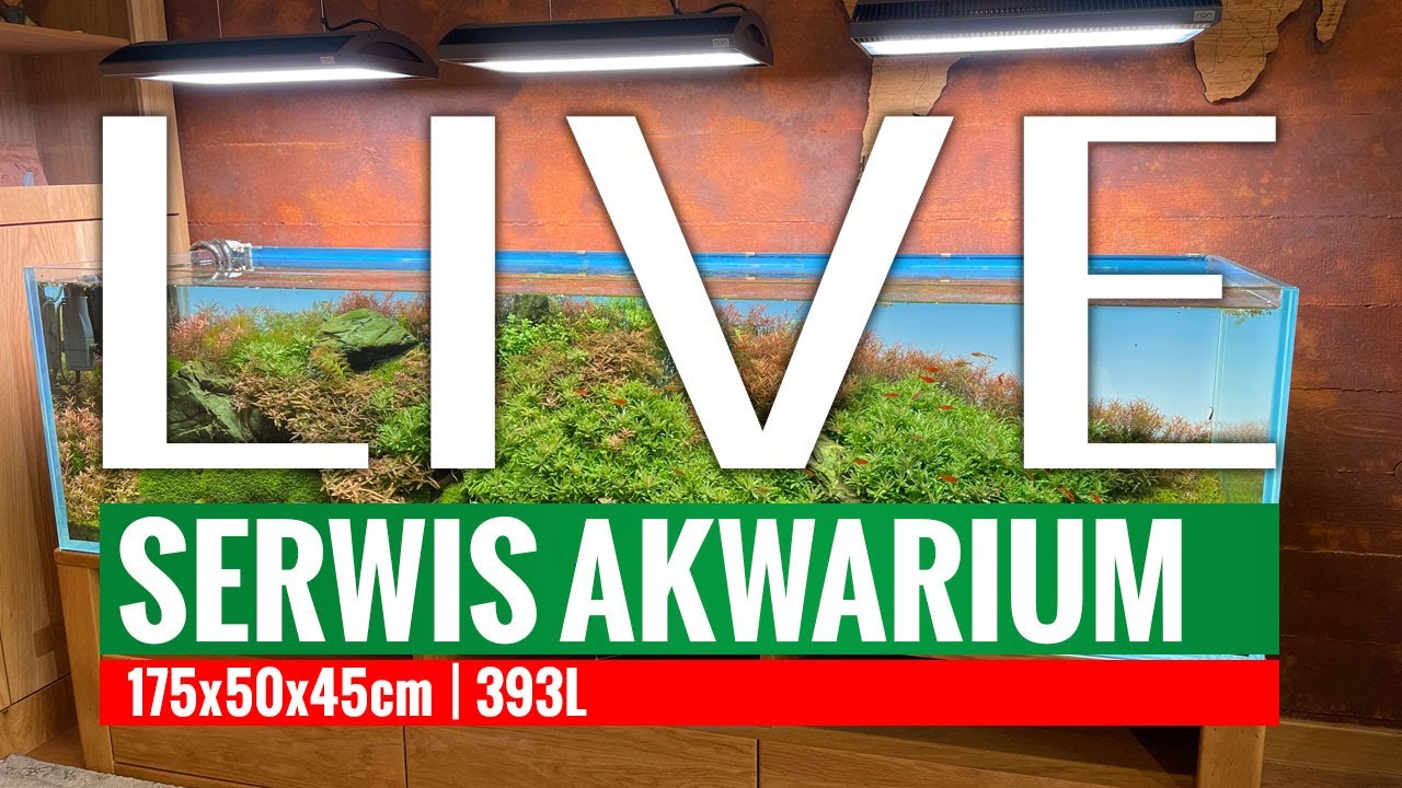 Serwis akwarium 393L