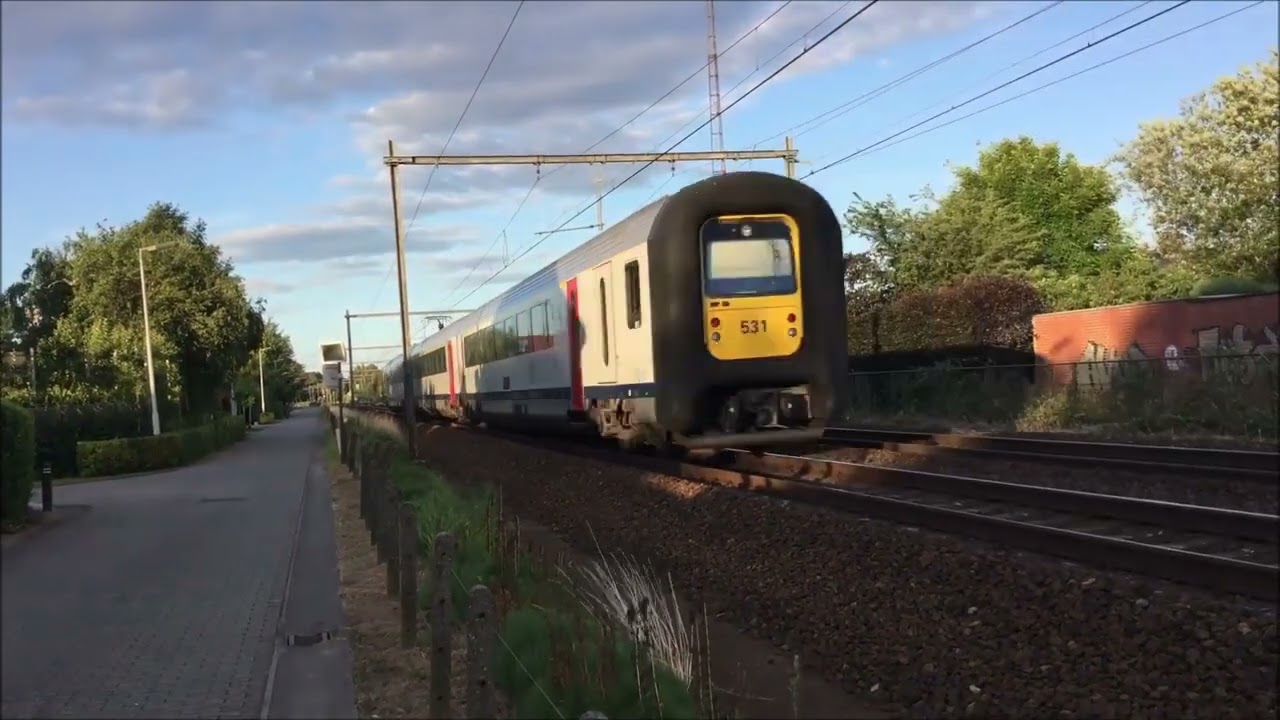 OVERAL TREINEN 71