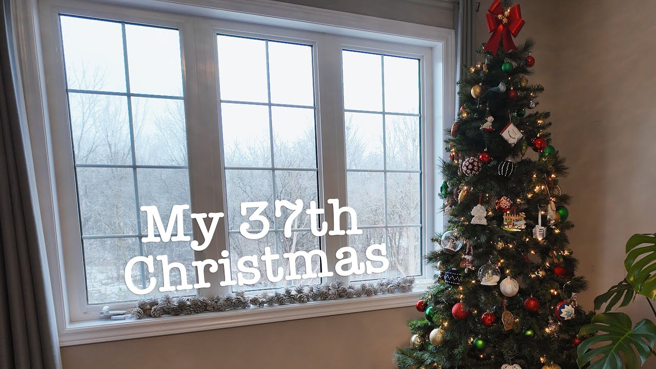 December Diaries ❄️ Slow living, winter chores, and holiday magic