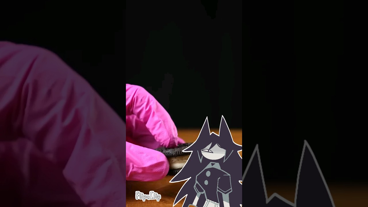 miss circle receitas 