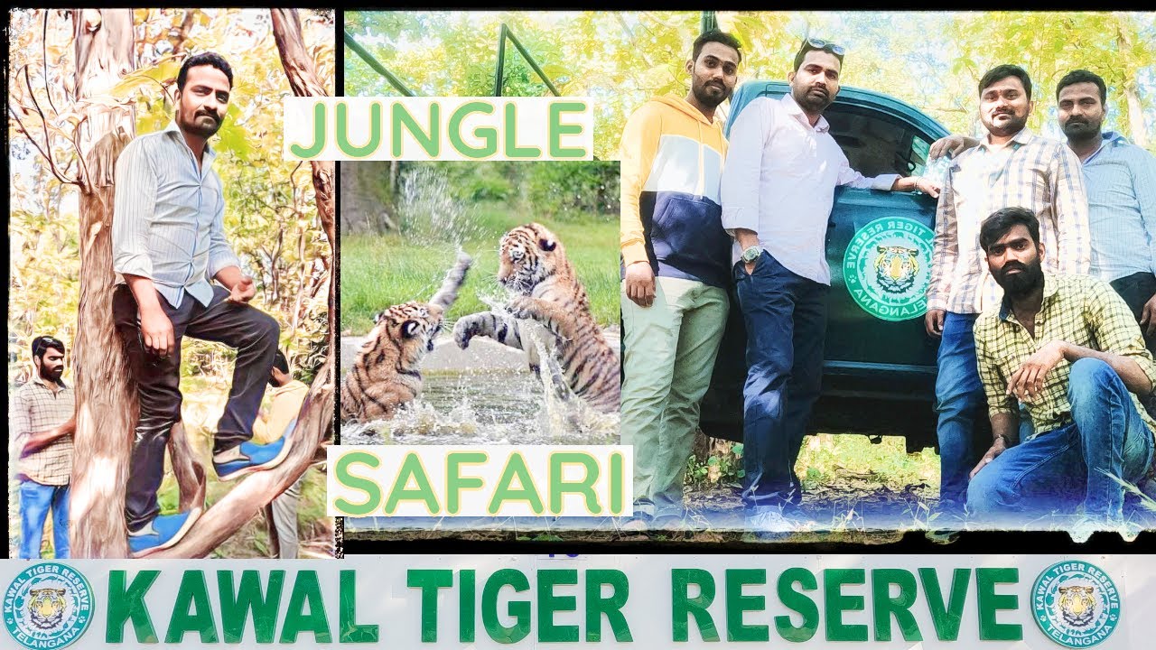 JUNGAL SAFARI || KAWAL TIGER RESERVE || HABIBI TOURS