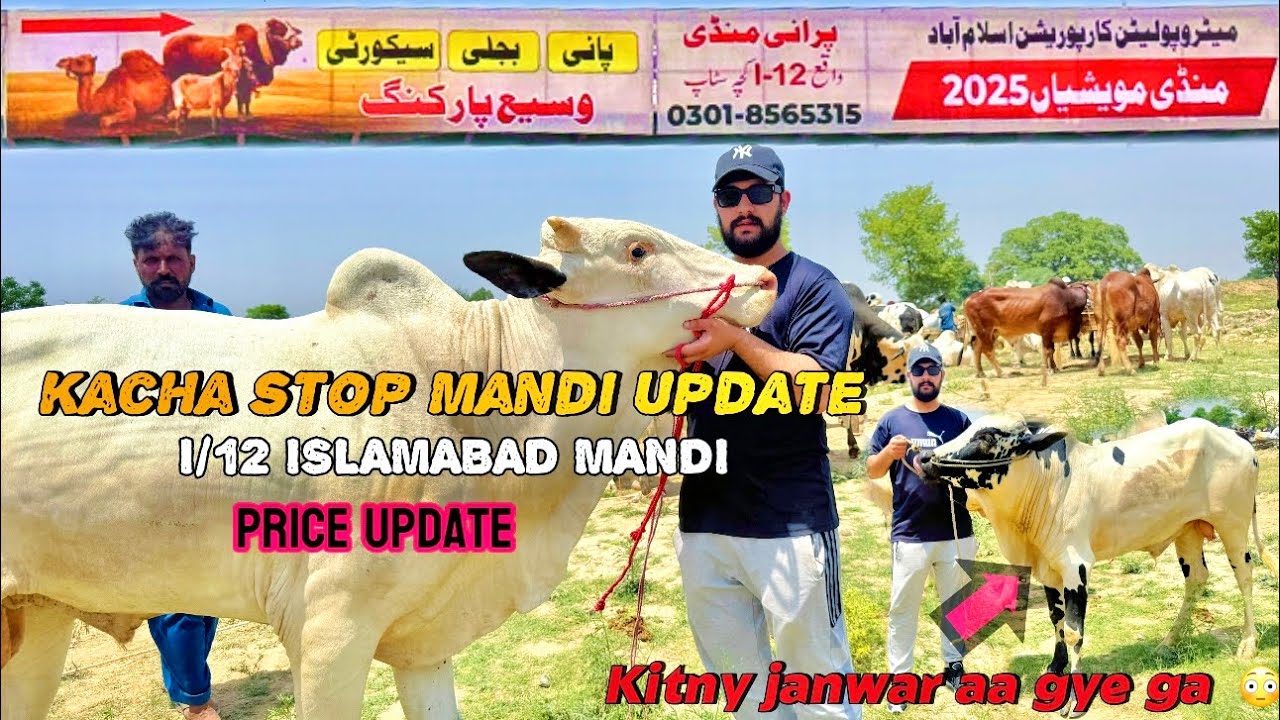 i 12 Islamabad Mandi update 2025 | Kacha Stop Mandi Update 2025| i12 mandi | Abdullah Vlogs Official