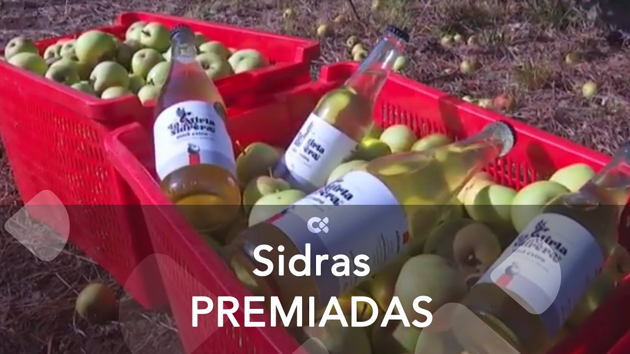 Las sidras canarias logran 15 premios en Asturias, uno de ellos lo recibi&oacute; la Mirla Sidrera.