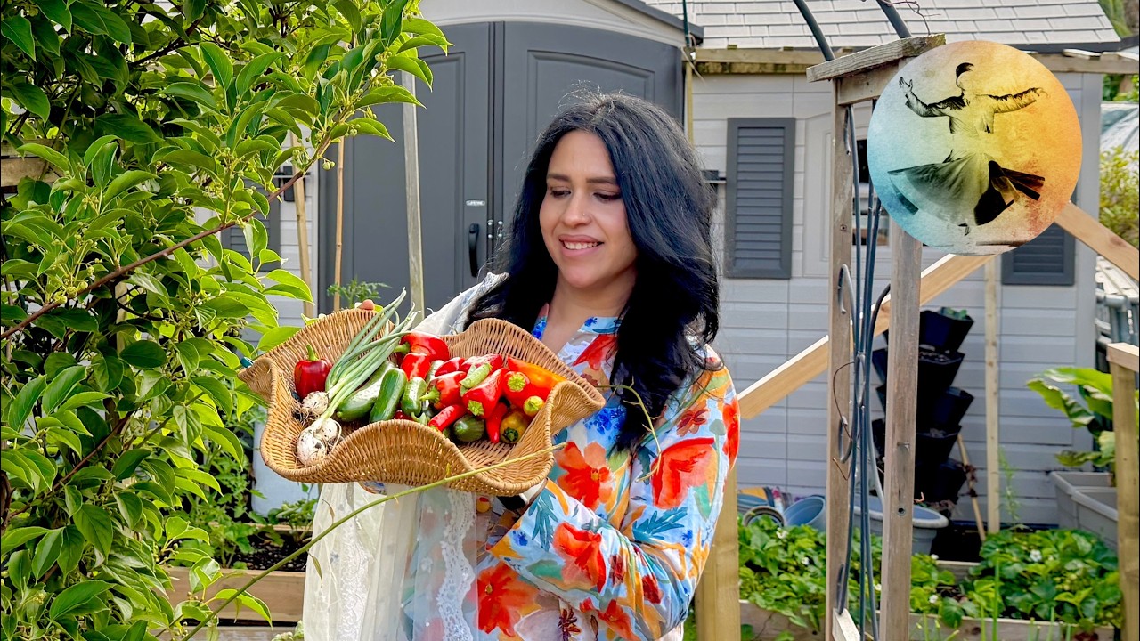 Update of garden and harvesting vegetables | Malang Log Official