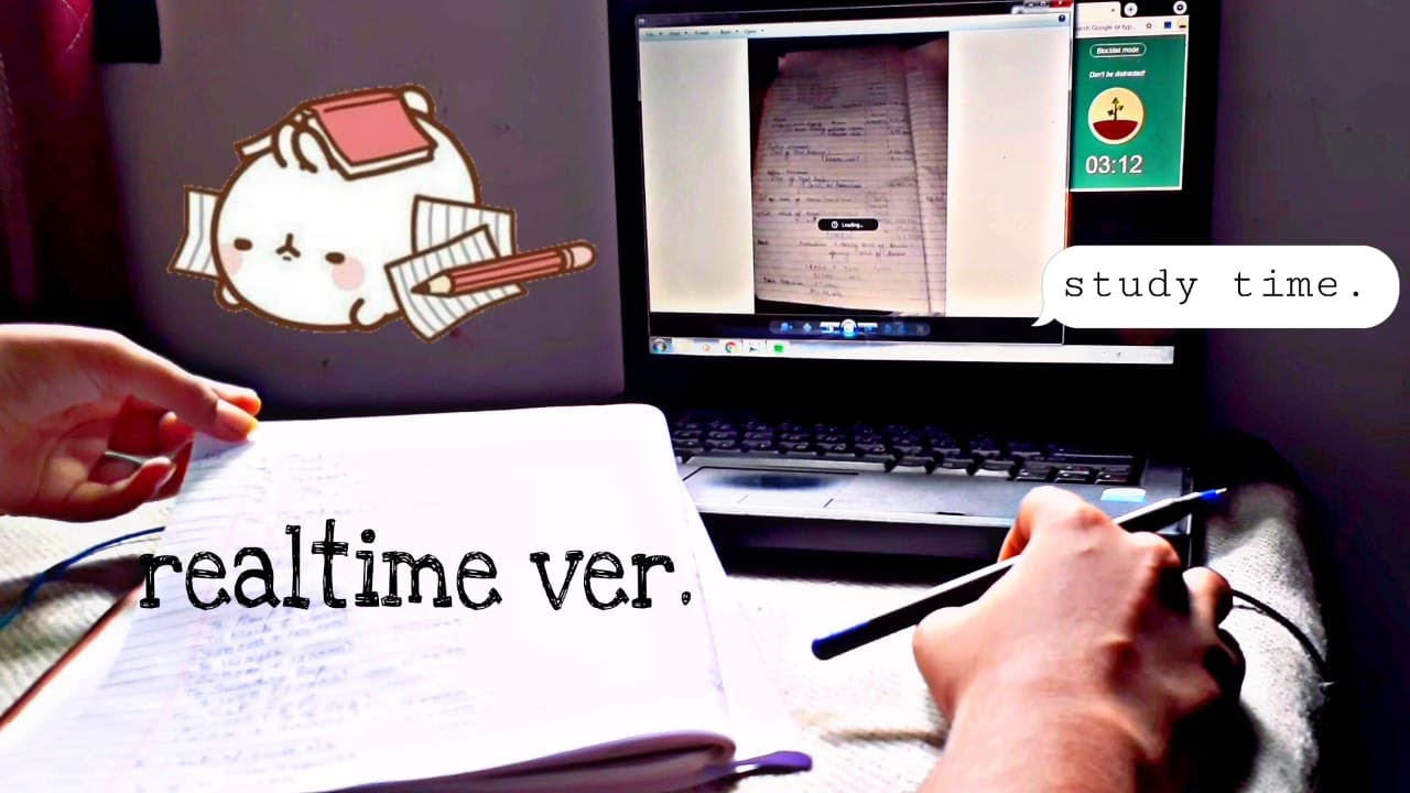 study with me | 20 min Pomodoro w/ music (realtime ver.)   Ft. Vaultboy *accountancy /B.Com student*