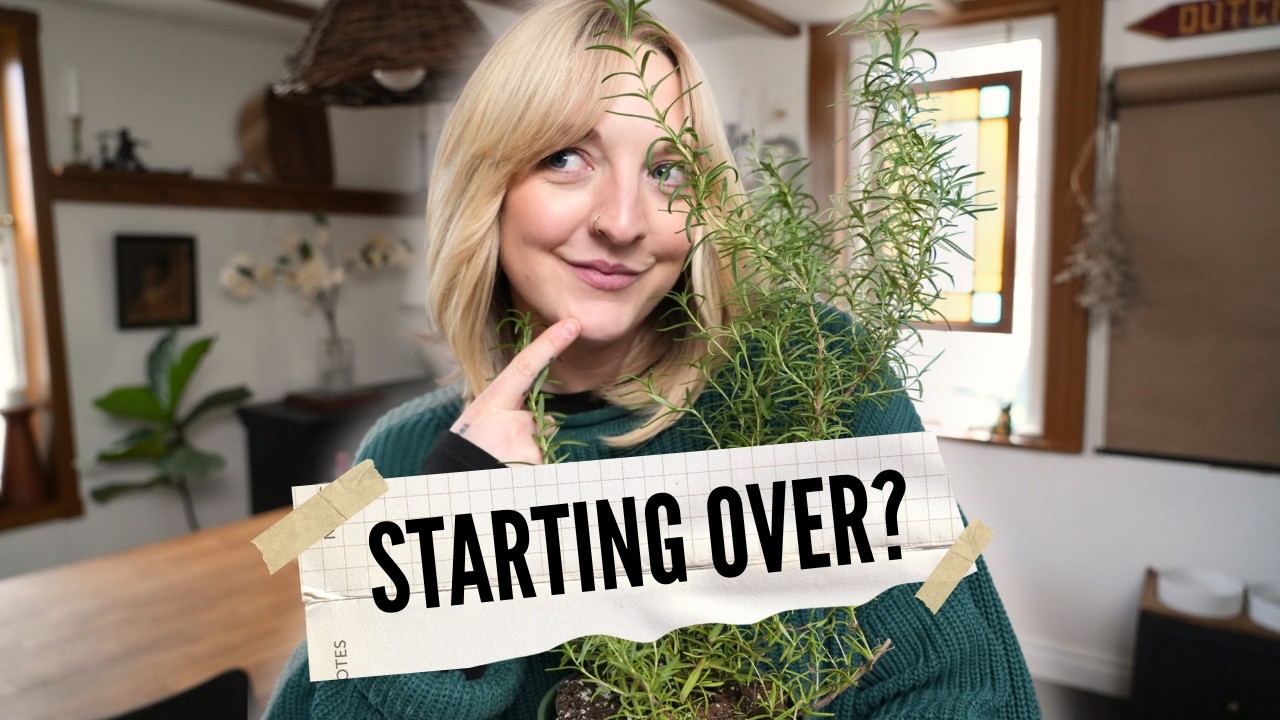 BIG CHANGES TO THE KITCHEN! | thrifting, styling + plan with me