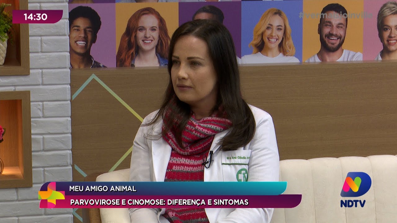 Meu Amigo Animal: diferenças e sintomas da parvovirose e cinomose