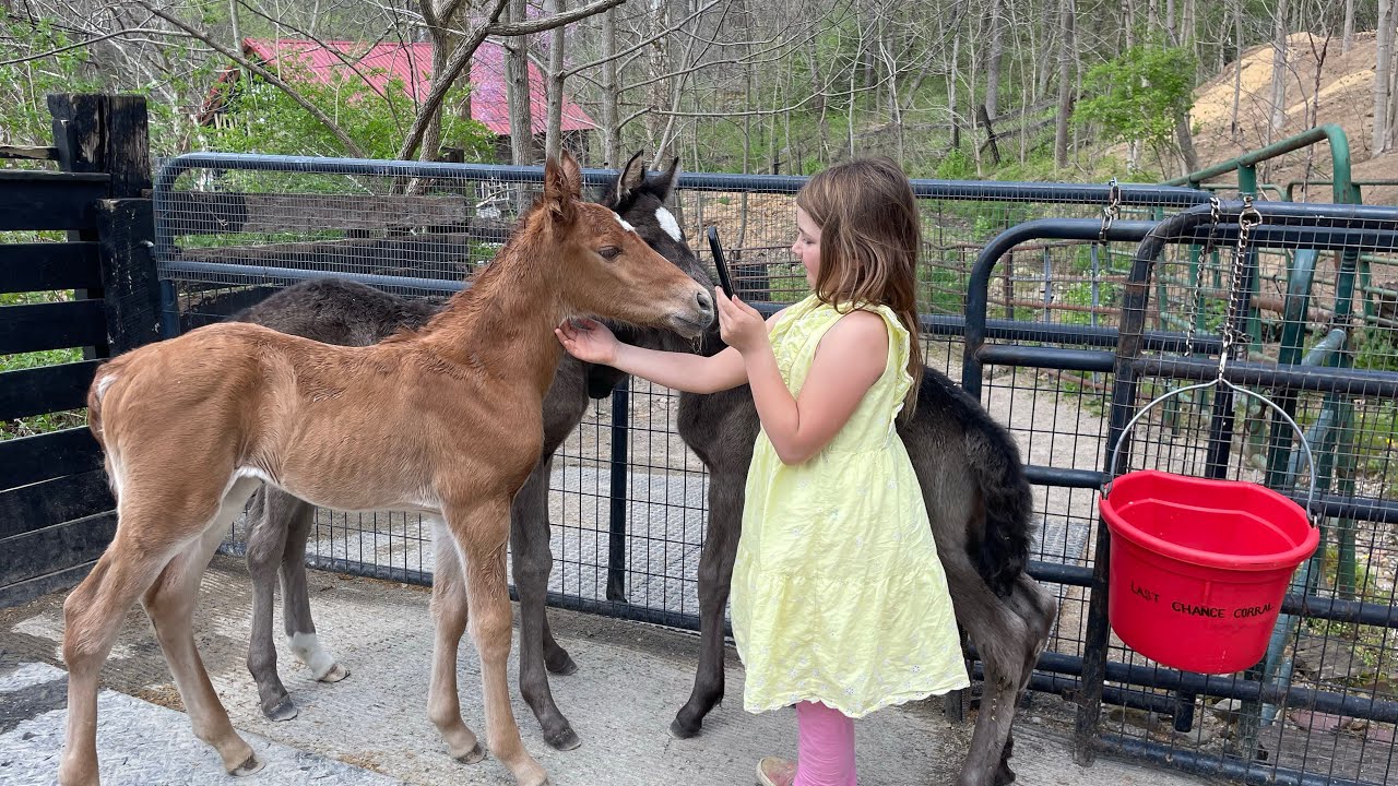 Ohio Animal Advocates Real Ohio Tour: Last Chance Corral