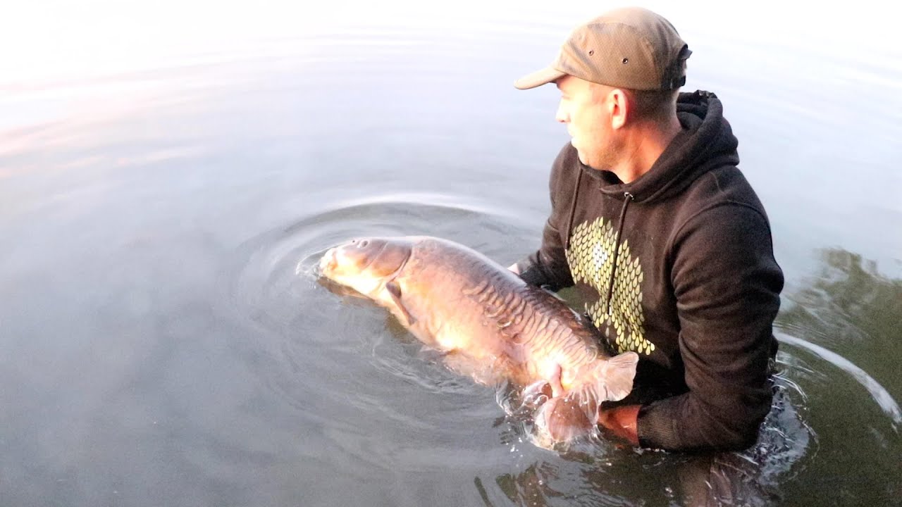 Steve Hall Diary The Bearded Lady Stoneacres Linch Hill Carp fishing