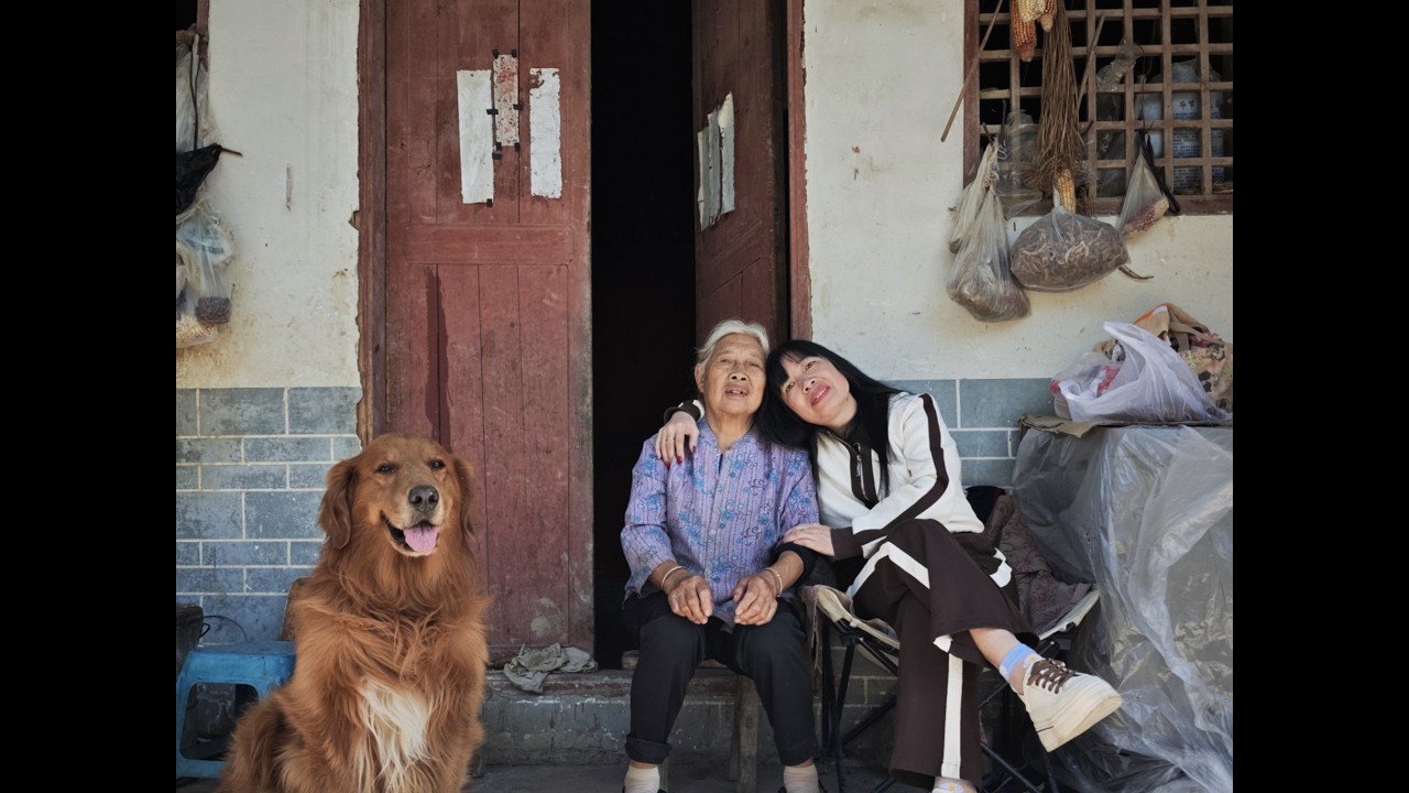一只金毛犬陪伴主人一家的第九年，一切尽在不言中！