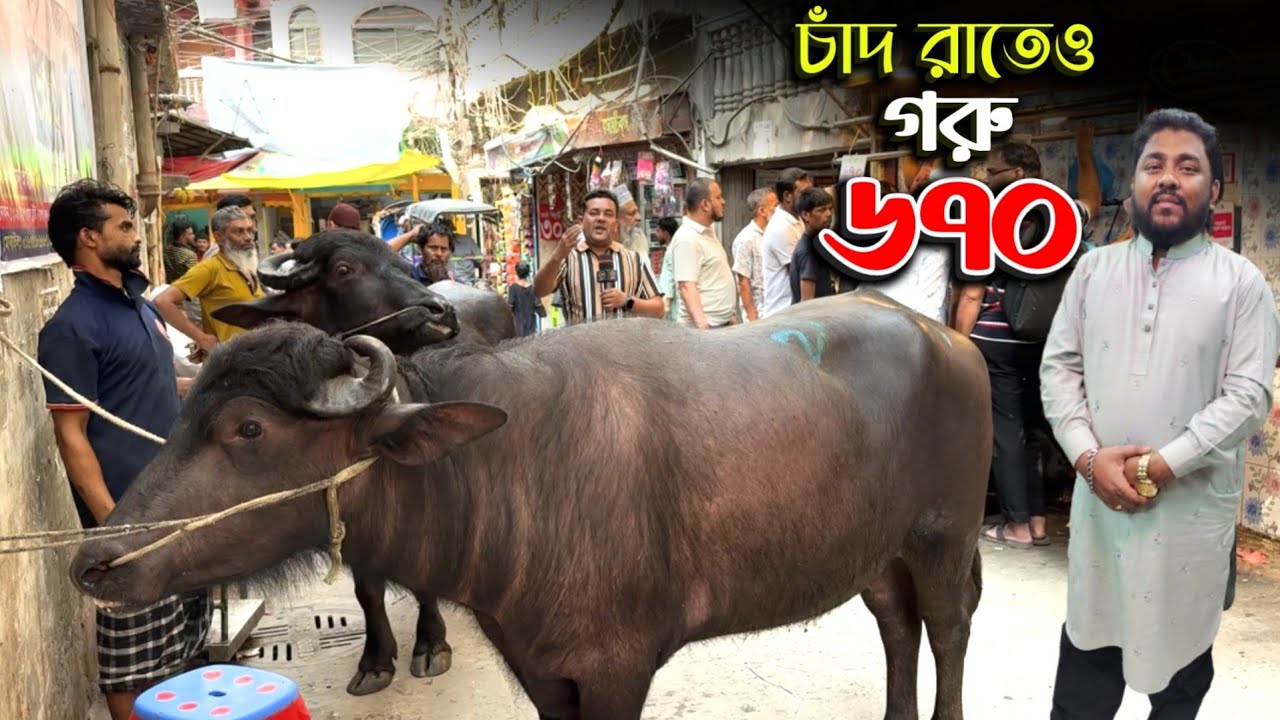 চাঁদ রাতেও 