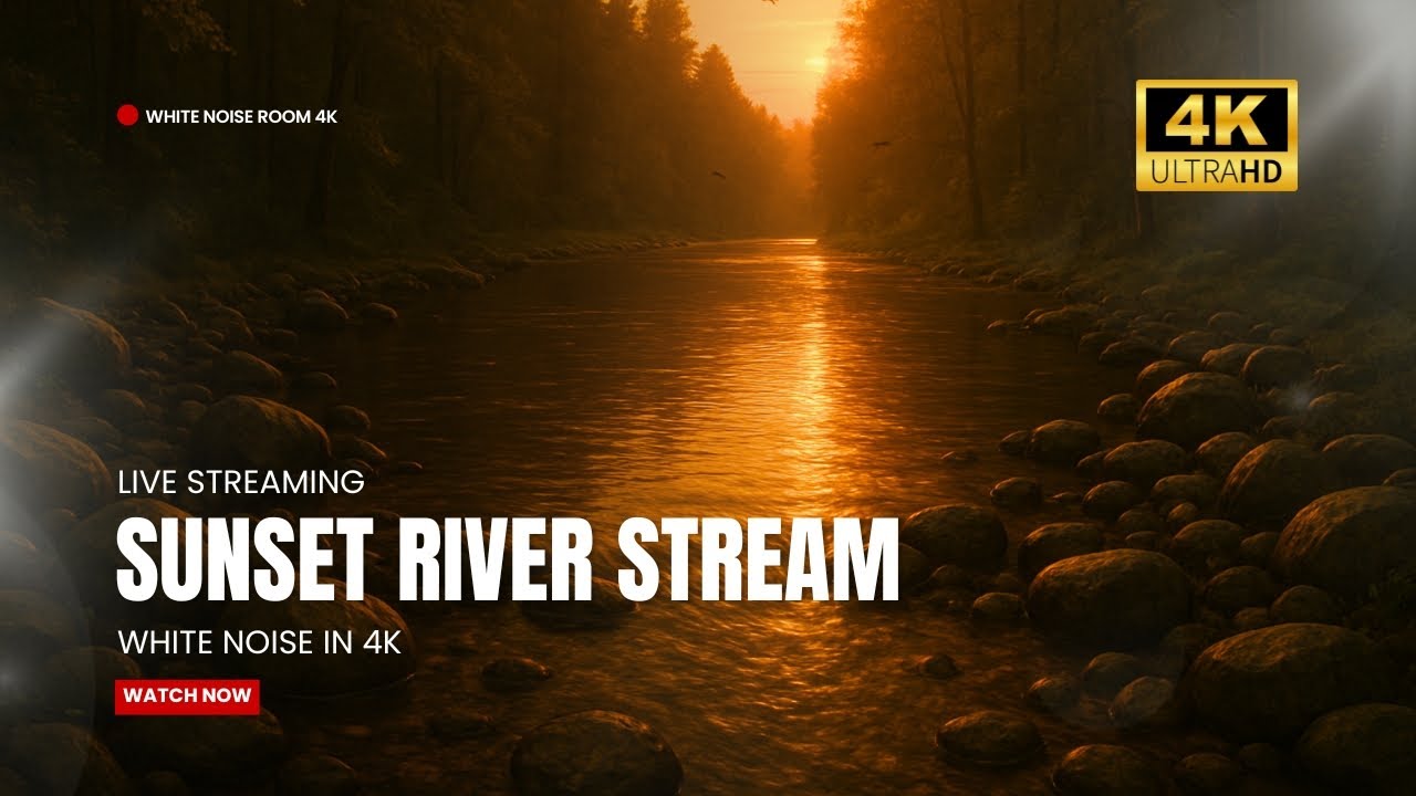 LIVE: Dusk River Serenity | Deep Sleep & Focus | White Noise Room 4K