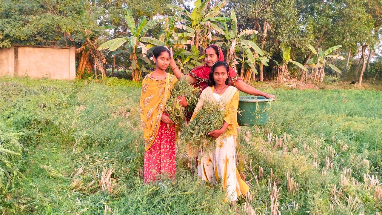 লোকের ক্ষেত থেকে কি চুরি করছি দেখো🫣😬|Look What I'm Stealing From People's Fields 