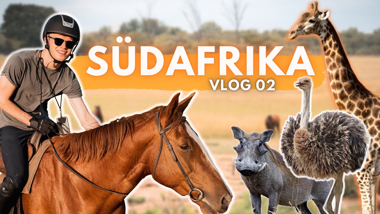 WIR FINDEN PUMBA!🐗🇿🇦