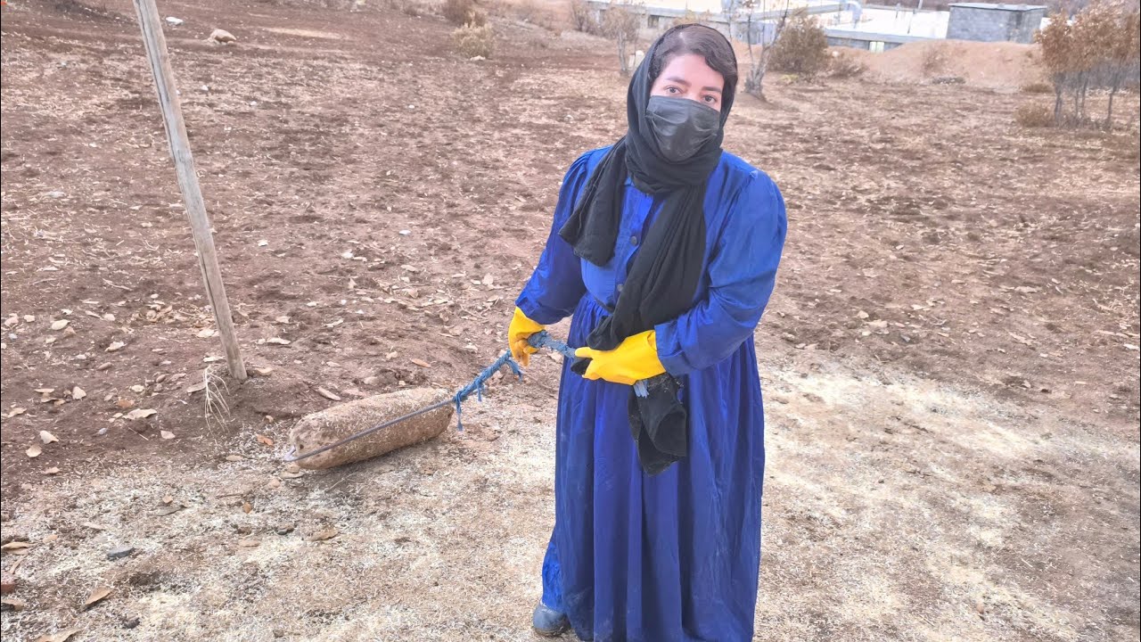 &laquo;Катапульты надежды: от пыльного двора к дому, полному мечтаний&raquo;