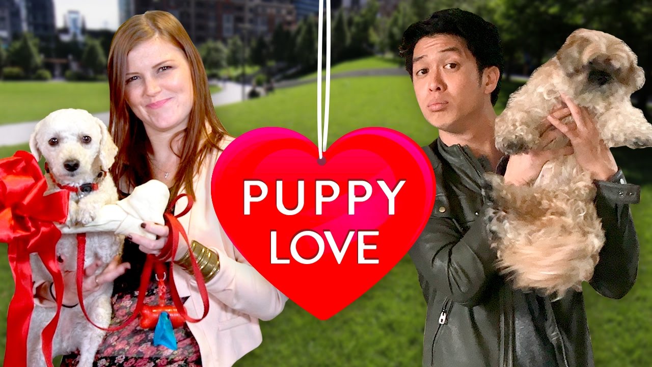 Can your dog get you a date? | Doggie Play Date
