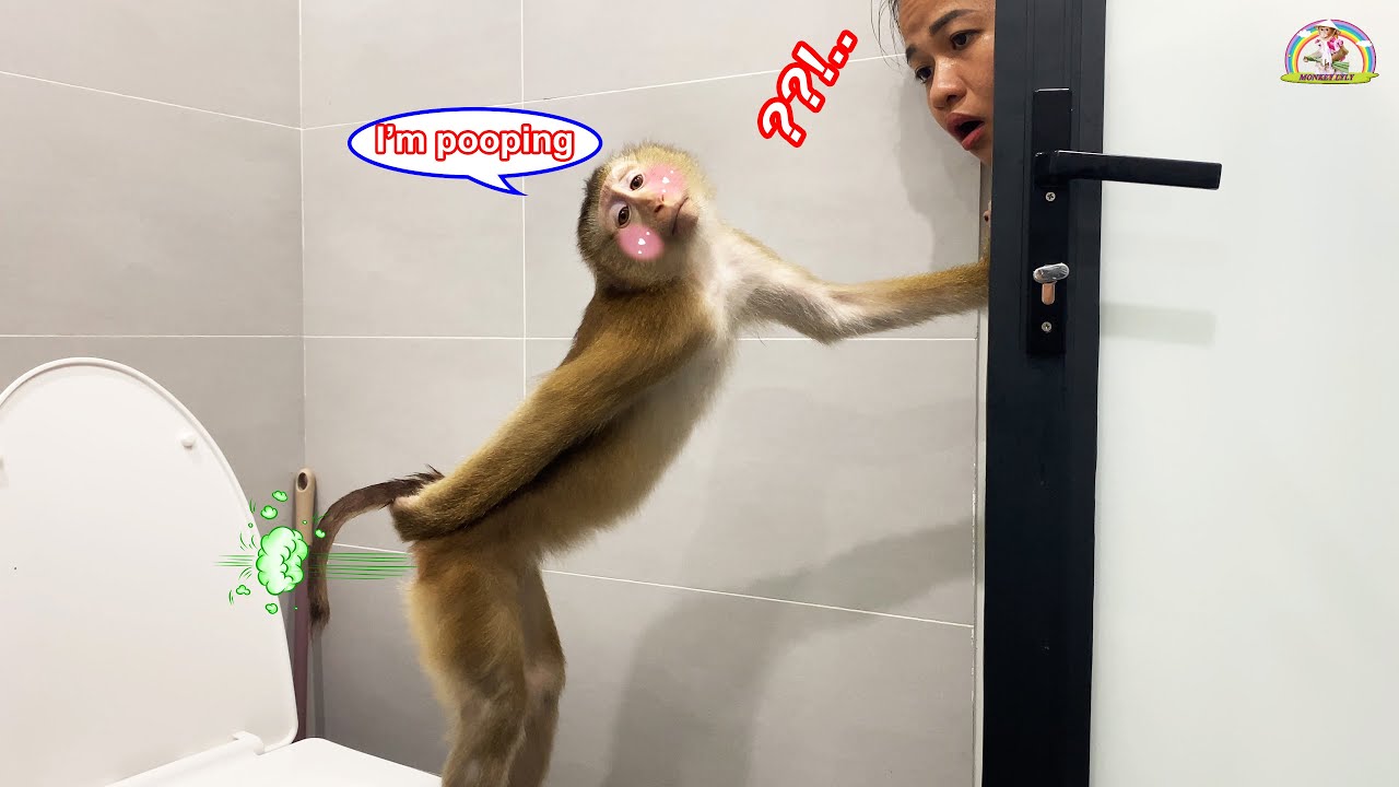 Monkey Lyly is embarrassed because she misunderstood her mother teasing her about pooping.