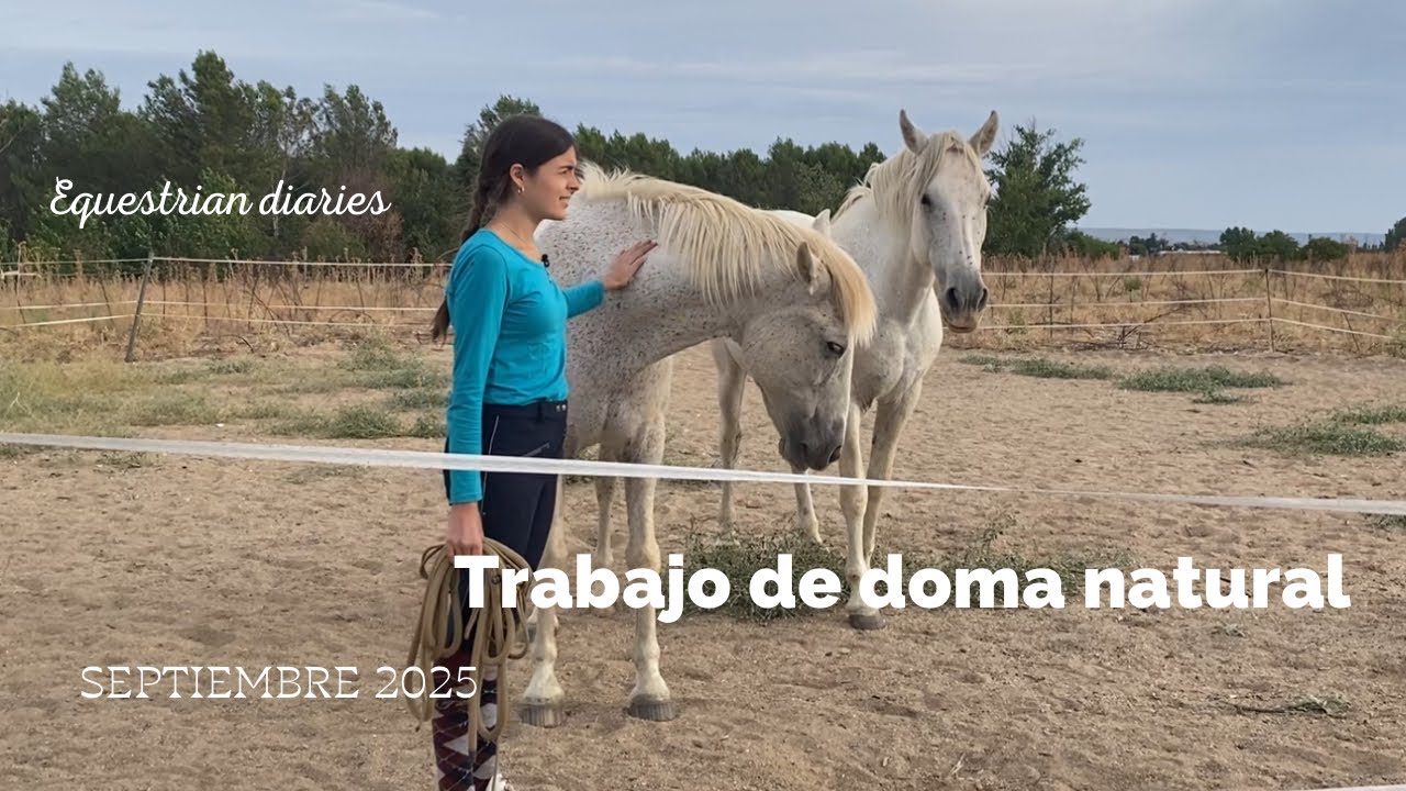 Así TRABAJAMOS a los CABALLOS antes de MONTAR - EQUESTRIAN diaries 