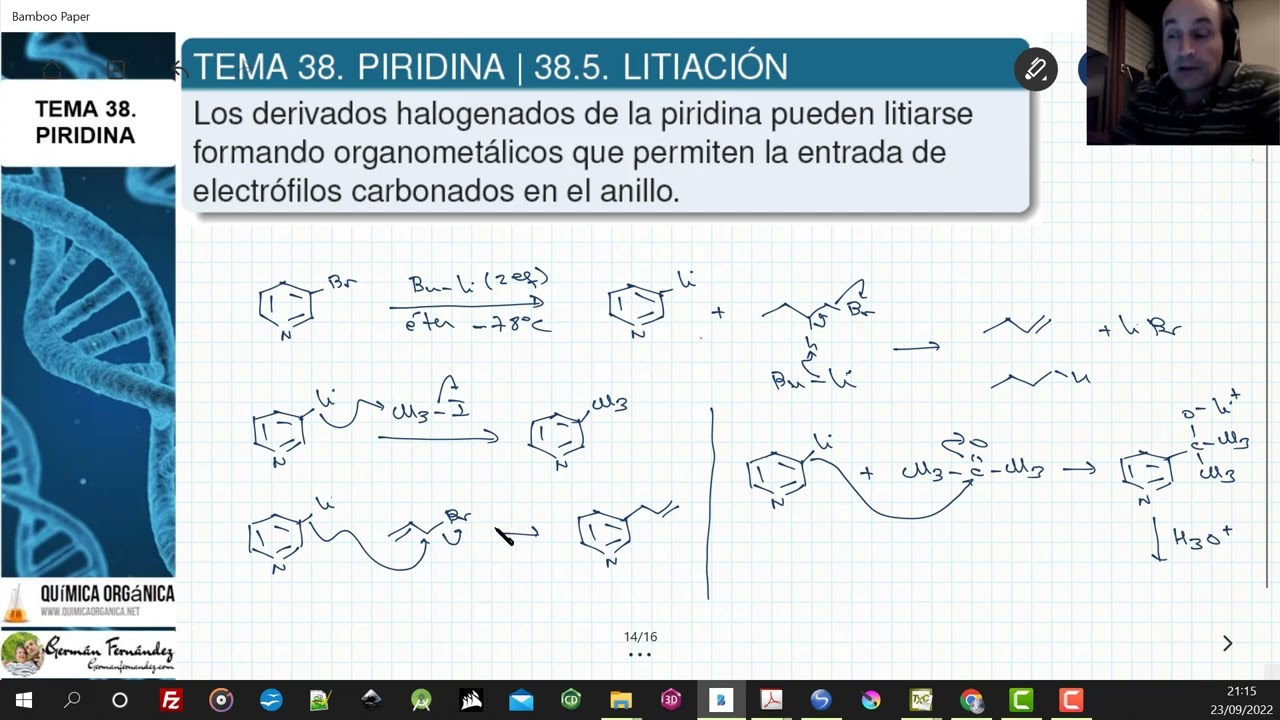 TEMA 38. PIRIDINA | 38.5. REACCIÓN DE LITIACIÓN