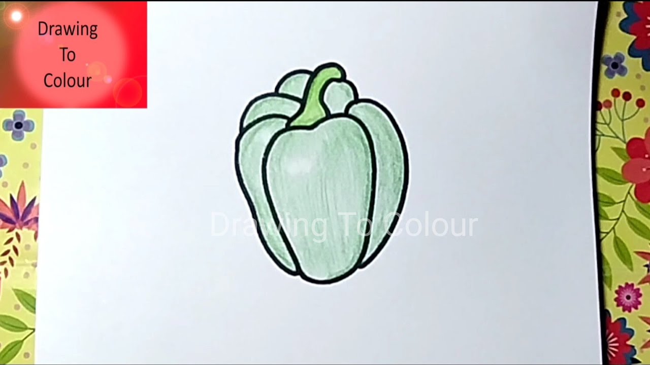 Capsicum Drawing Easy | How To Draw Capsicum / Bell Pepper Step by Step | Vegetable Drawing