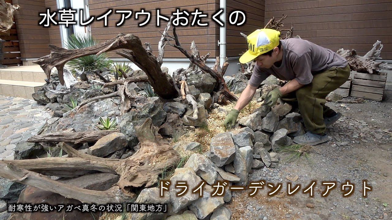 水草レイアウトおたくのドライガーデンレイアウト
