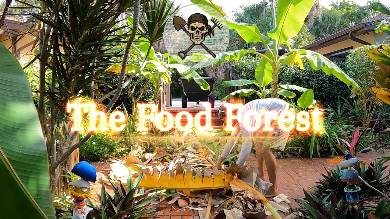 A week in our Florida Food Forest