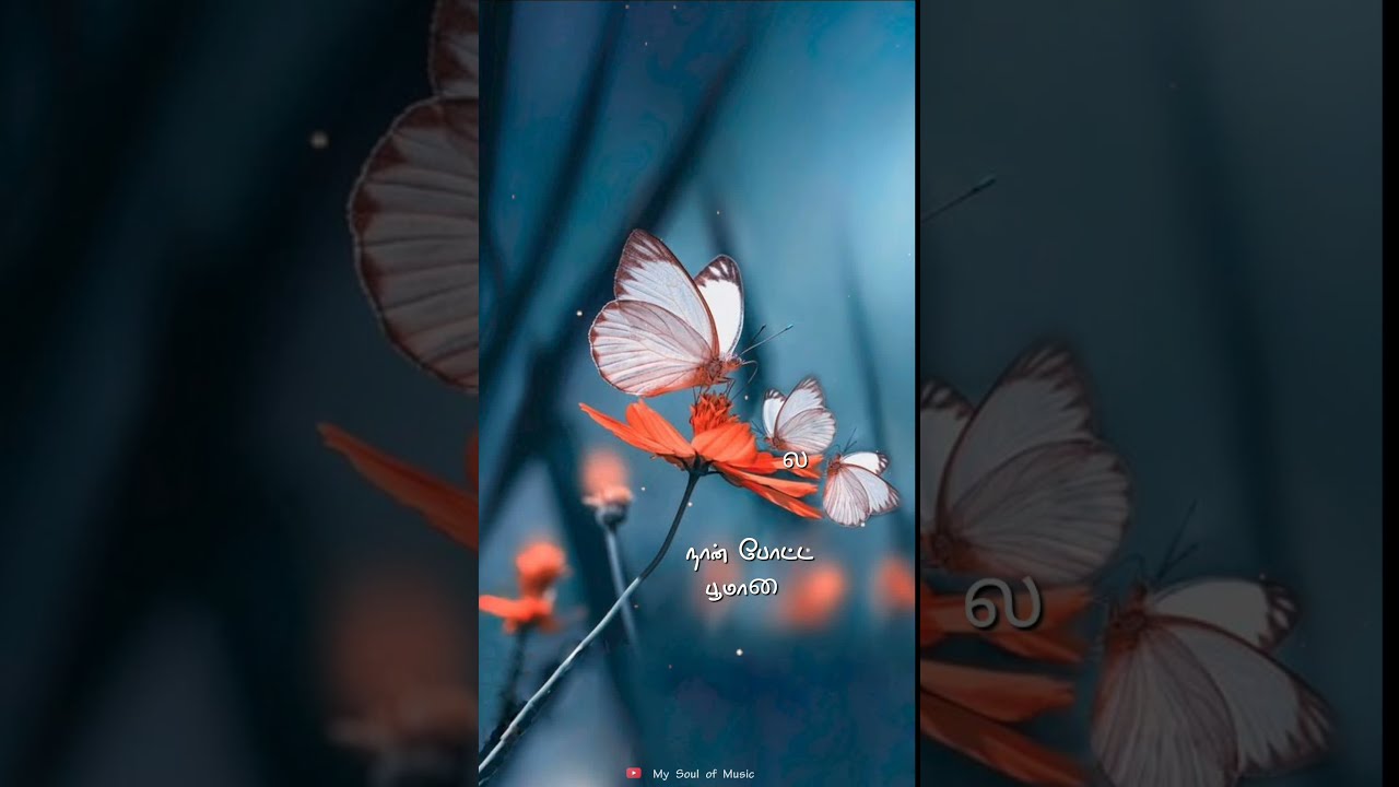 Love old songs whatsapp staus tamil❤Love feel song whatsapp  status tamil🤩SPB song whatsapp status