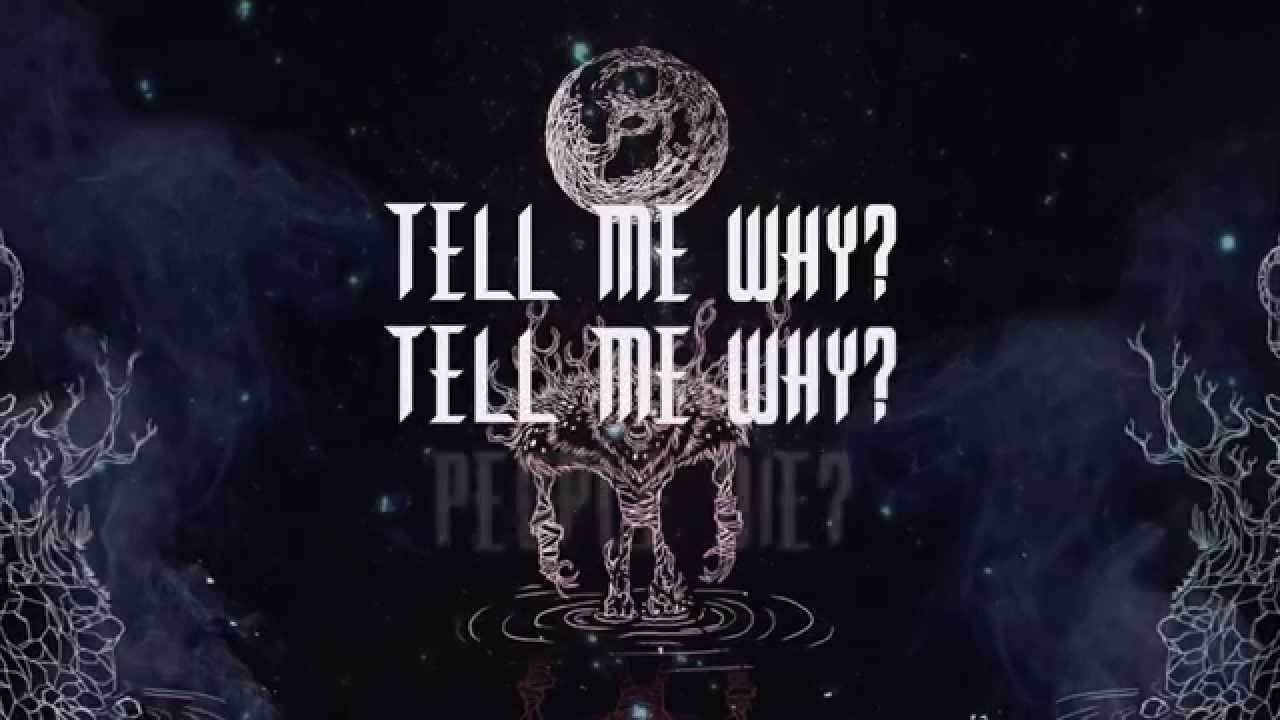 Electric Sasquatch -  Feeling Lost (Lyrics video)