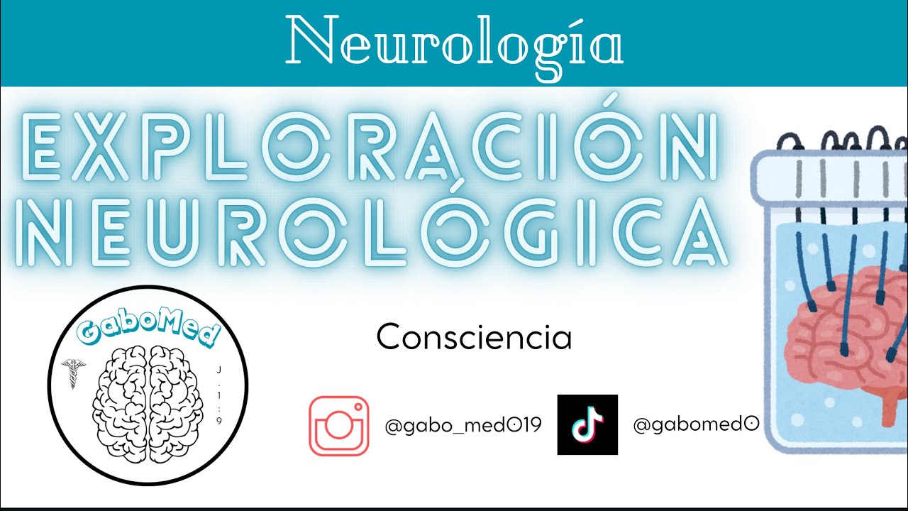 Evaluación De La Consciencia